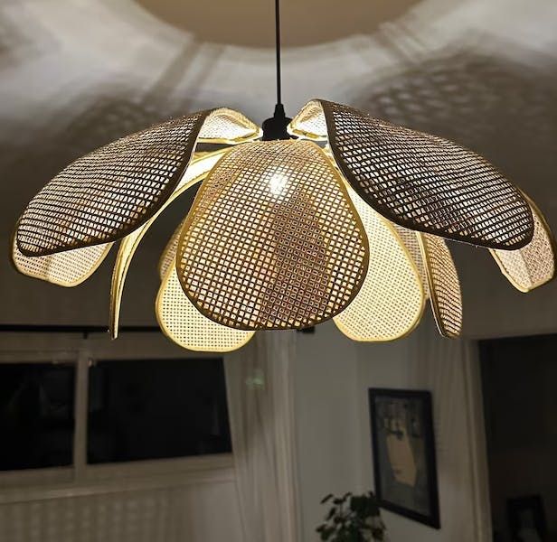 Lampsmodern Pendant Light Rattan Petal Pendant Light Rustic Lamp Shade ...