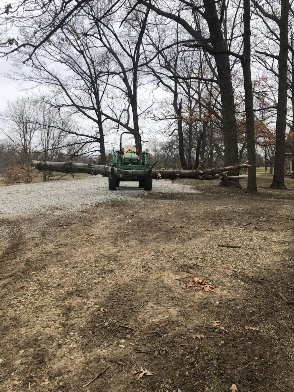 Standard 3000lbs Quick Attach 45" Frame Pallet Forks Attachment With 42" Forks Blades & Head Rack