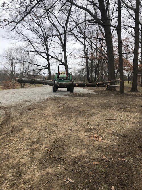 Standard 3000lbs Quick Attach 45" Frame Pallet Forks Attachment With 42" Forks Blades & Head Rack