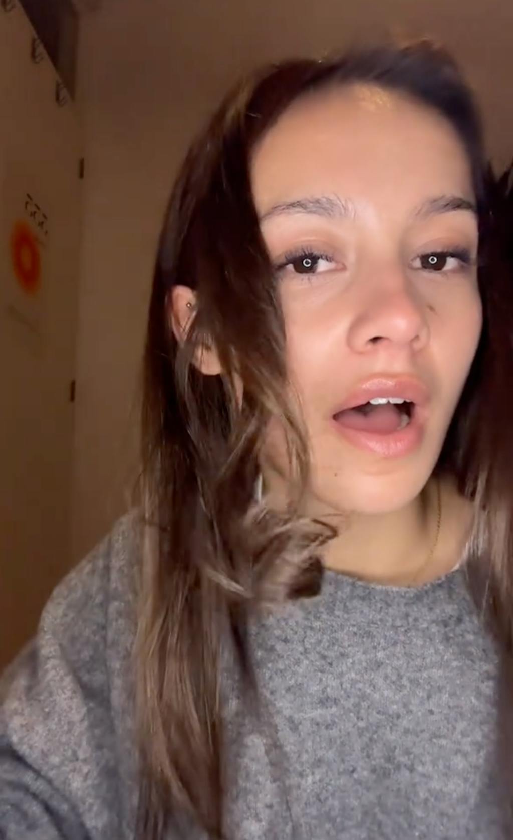 Largolash® Multistyler Roze - Föhnborstel