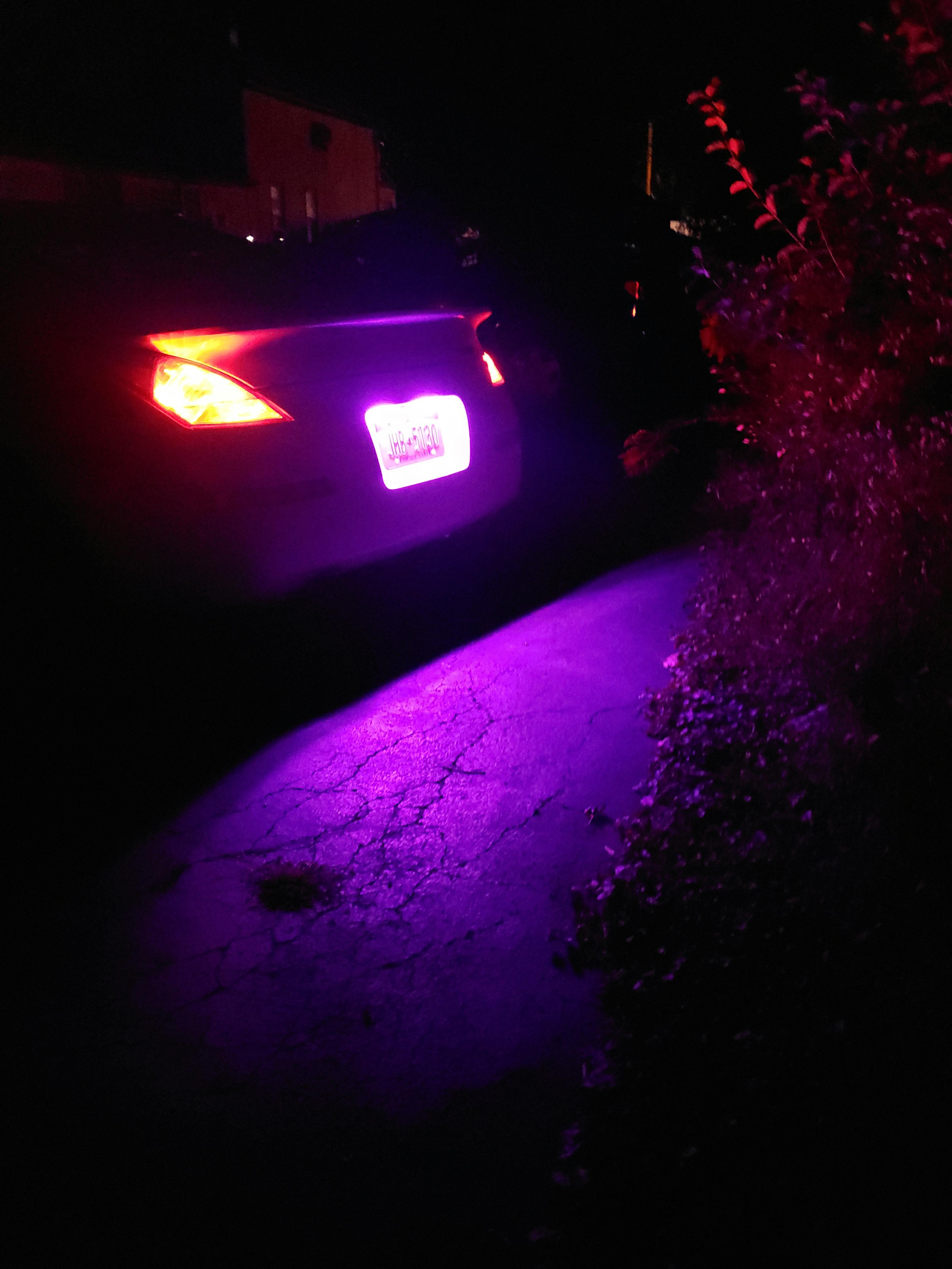 pink led license plate lights