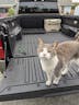 Fit for 2024-2025 Toyota Tacoma 5FT/6FT Heavy Duty Truck Bed Mat