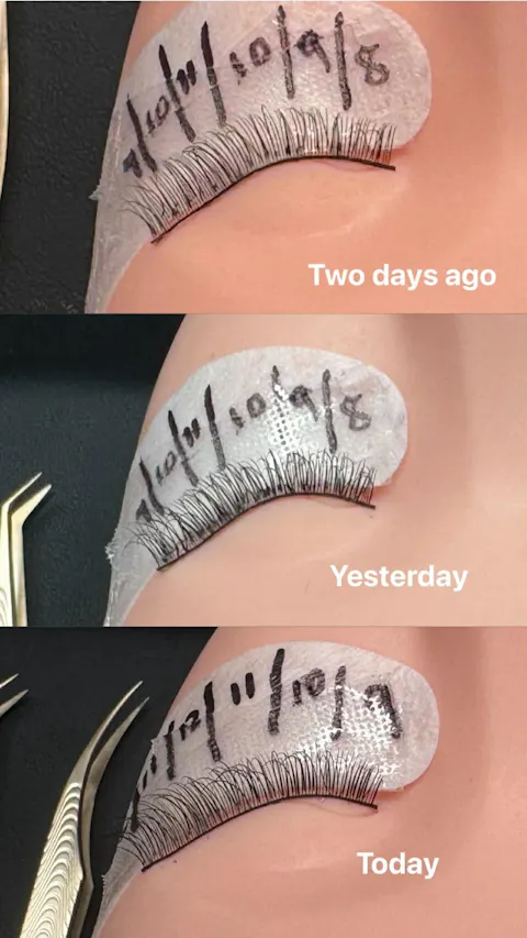 The Ultimate Lash Extension Bundle (Classic, Hybrid,Handmade Russian Volume 3D-10D) & Premade Volume Course