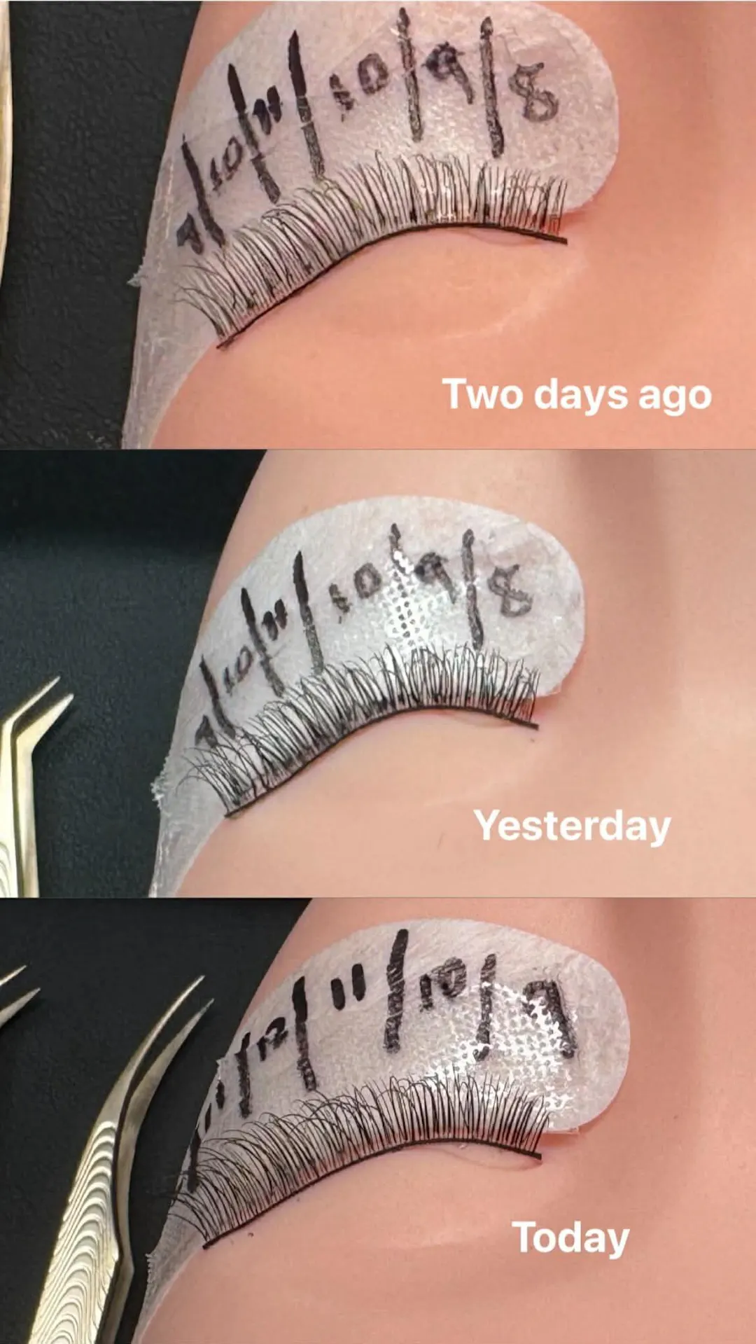 The Ultimate Lash Extension Bundle (Classic, Hybrid,Handmade Russian Volume 3D-10D) & Premade Volume Course