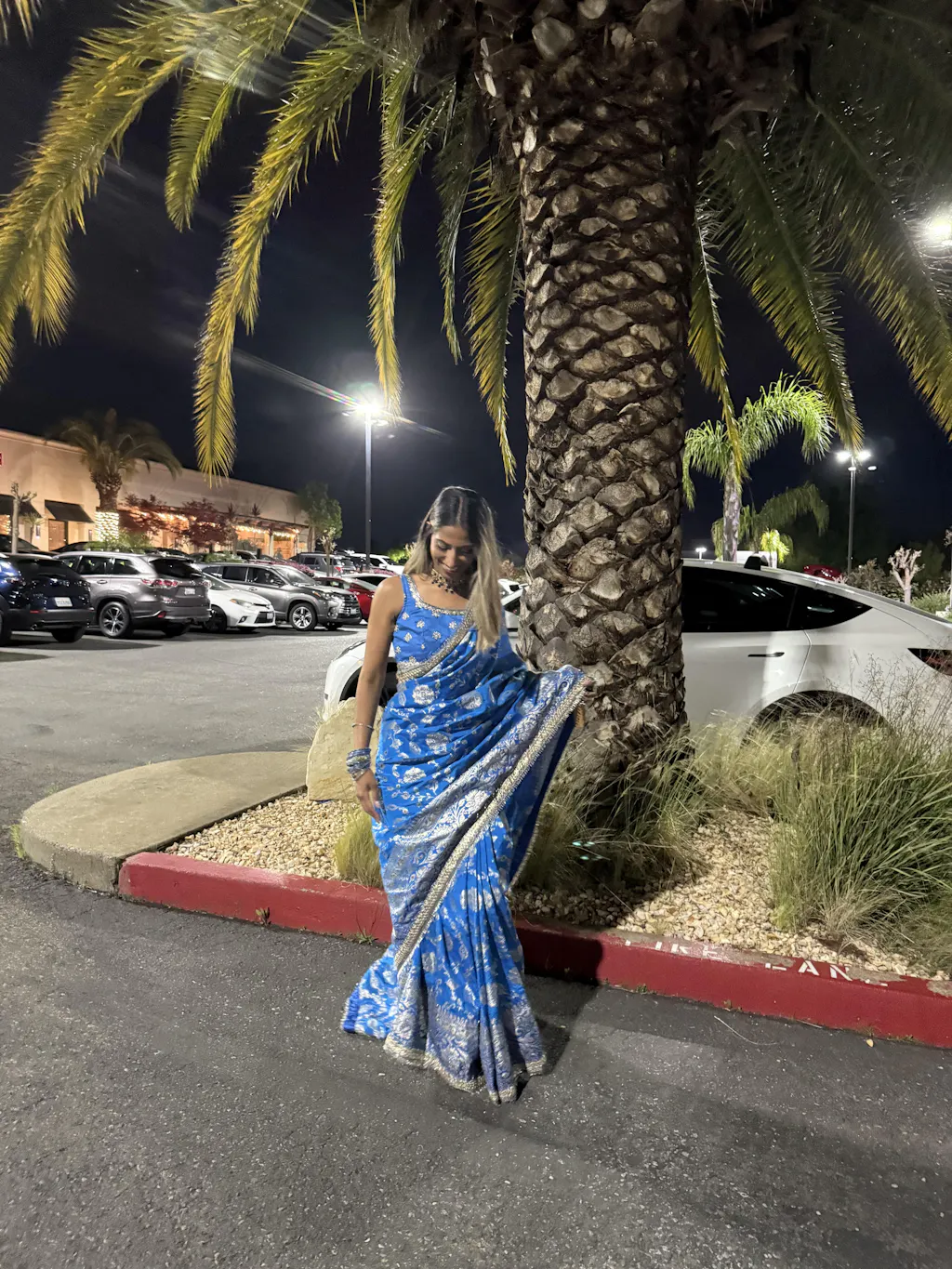 Blue Woven Design Brocade Saree