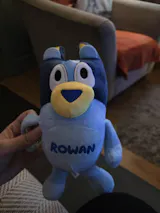 User picture