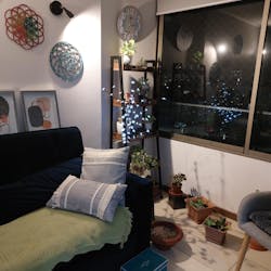 Cojin de Algodon con Relleno