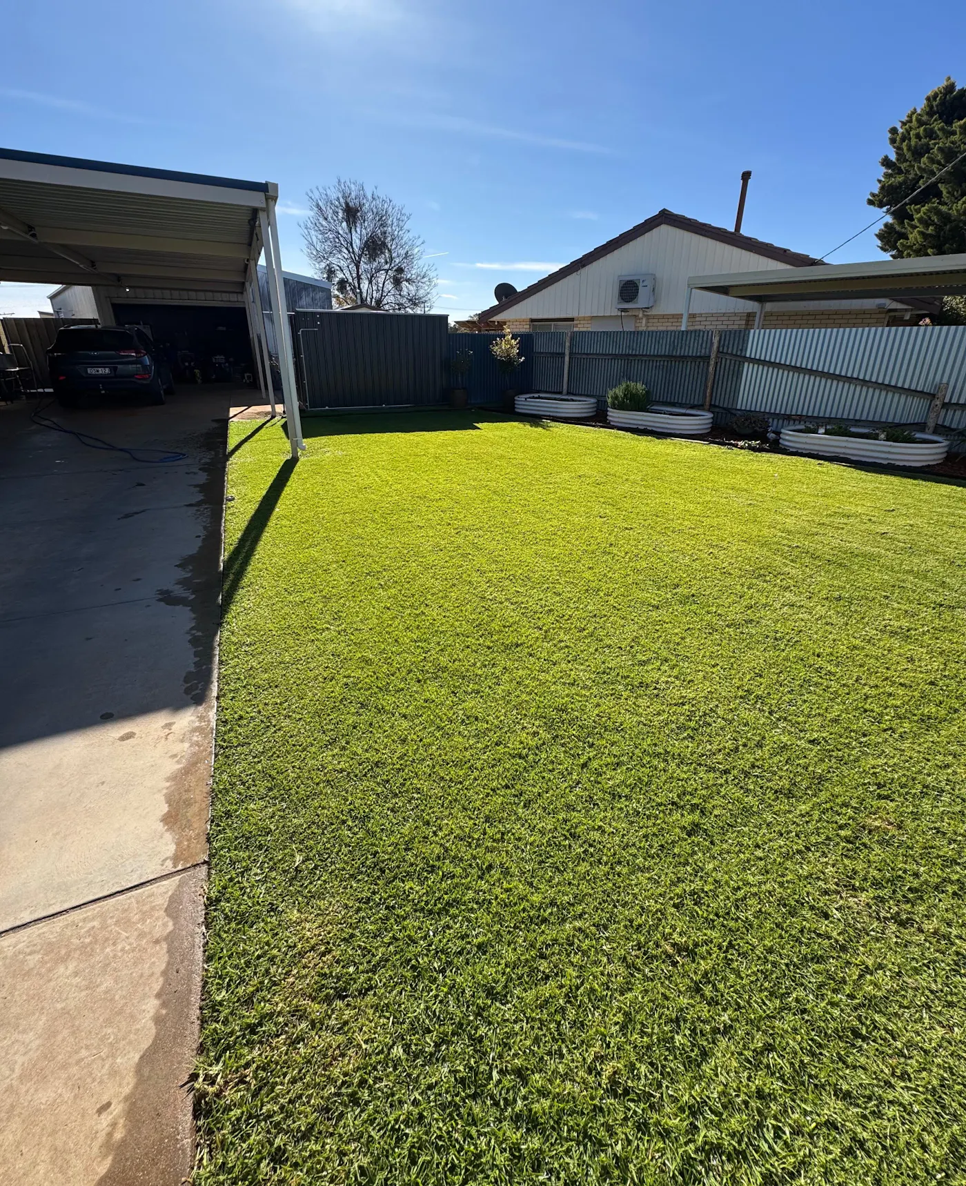 Deep green lawn after Pure Iron+