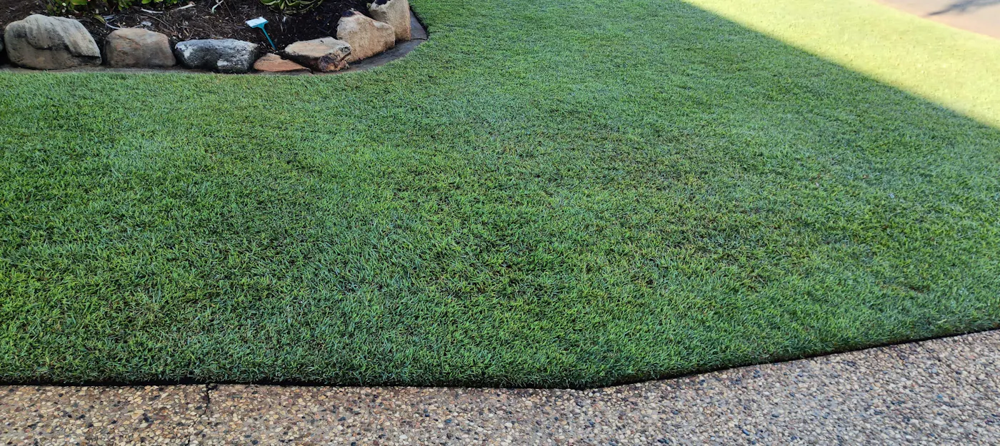 Healthy green lawn kept strong through winter with Pure Seaweed+