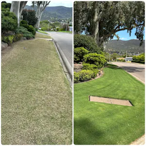 Lawn fed with Dominate Mini