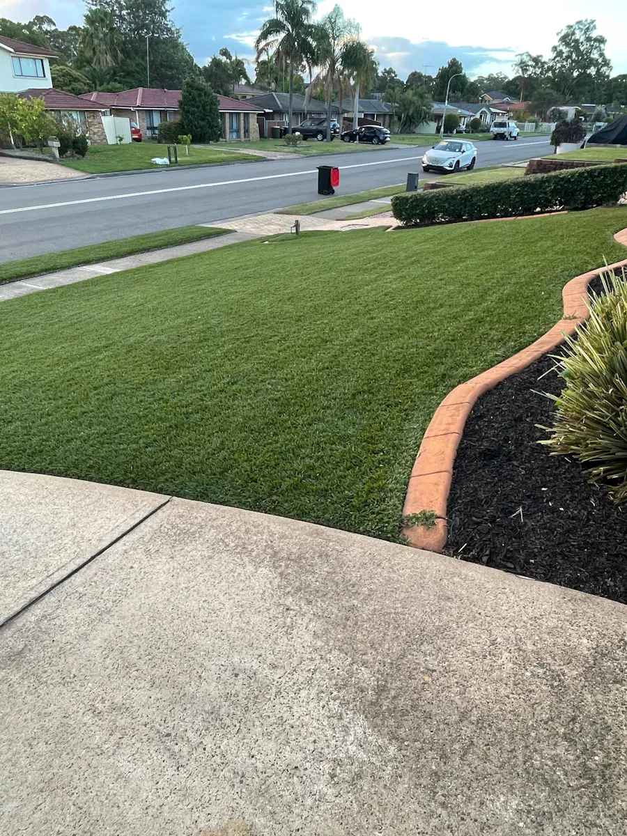 Customer front lawn