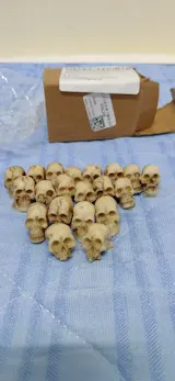 10/20Pcs Gothic Skull & Mushroom Mini Sculptures – Halloween Ornaments for Garden, Terrarium & Potted Plant Decor