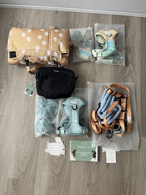 Dachshund Collar - 'Surf's Pup'