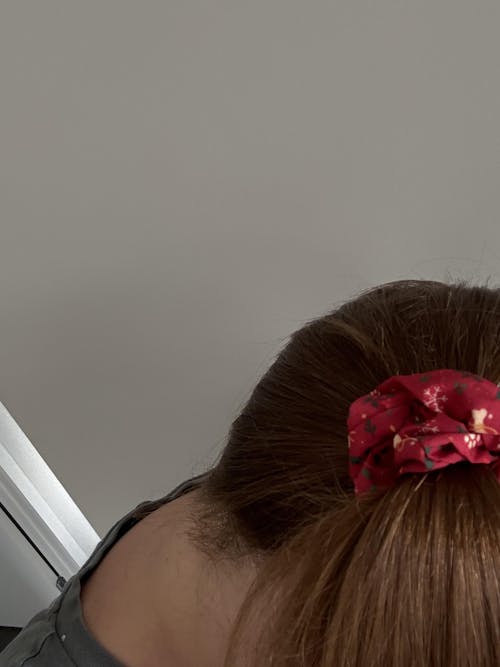 Lazy Doxie Co Scrunchies