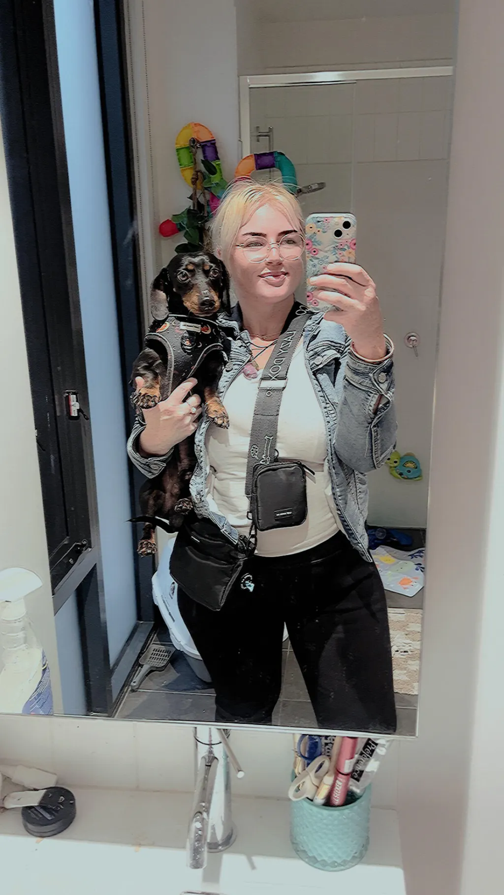 Dog Walking Bags