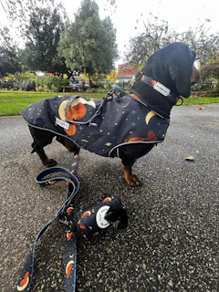 Review picture