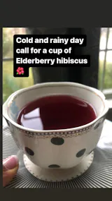 Elderberry Hibiscus