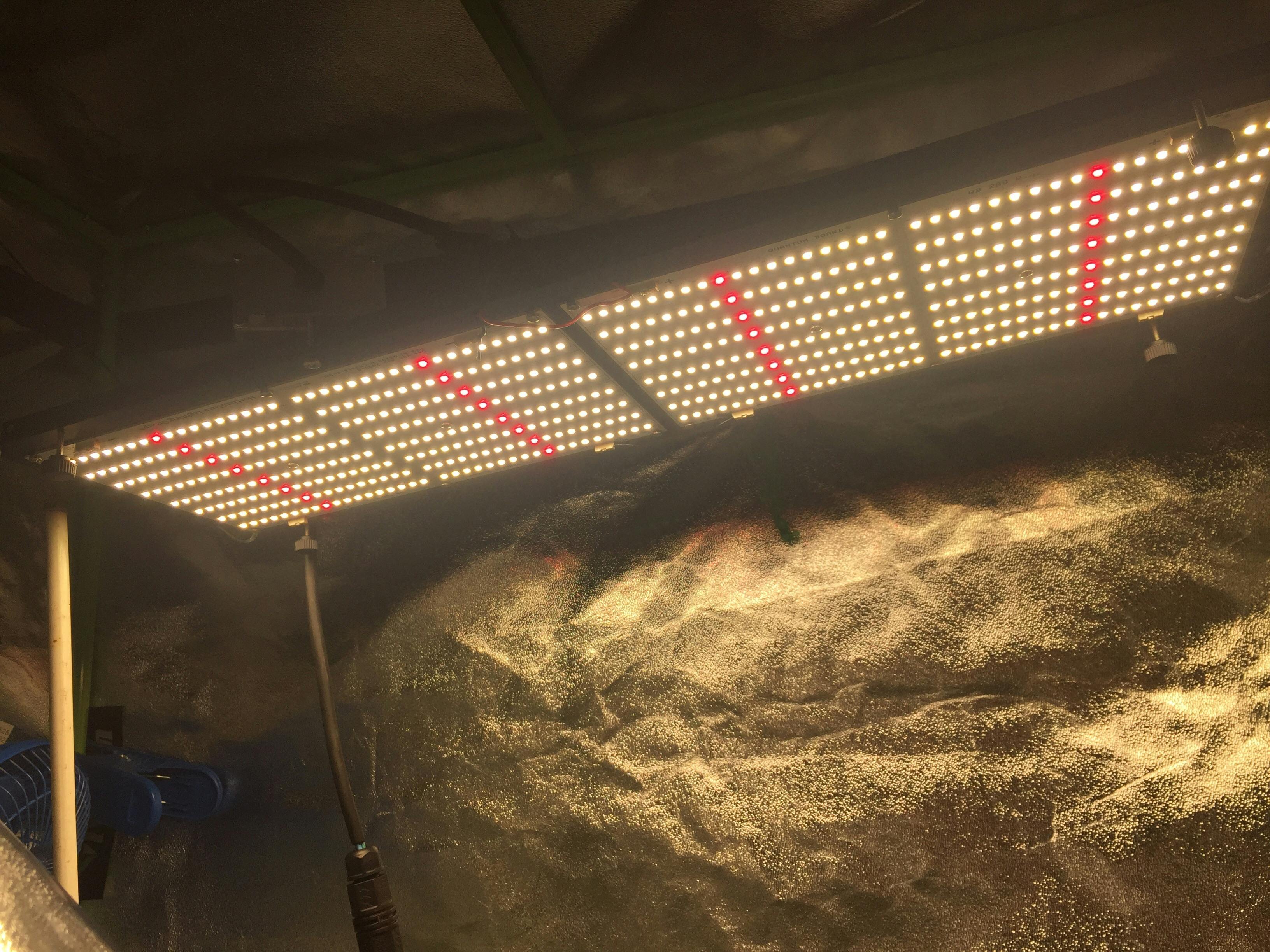 LED Grow Light Reviews LED Grow Lights Depot