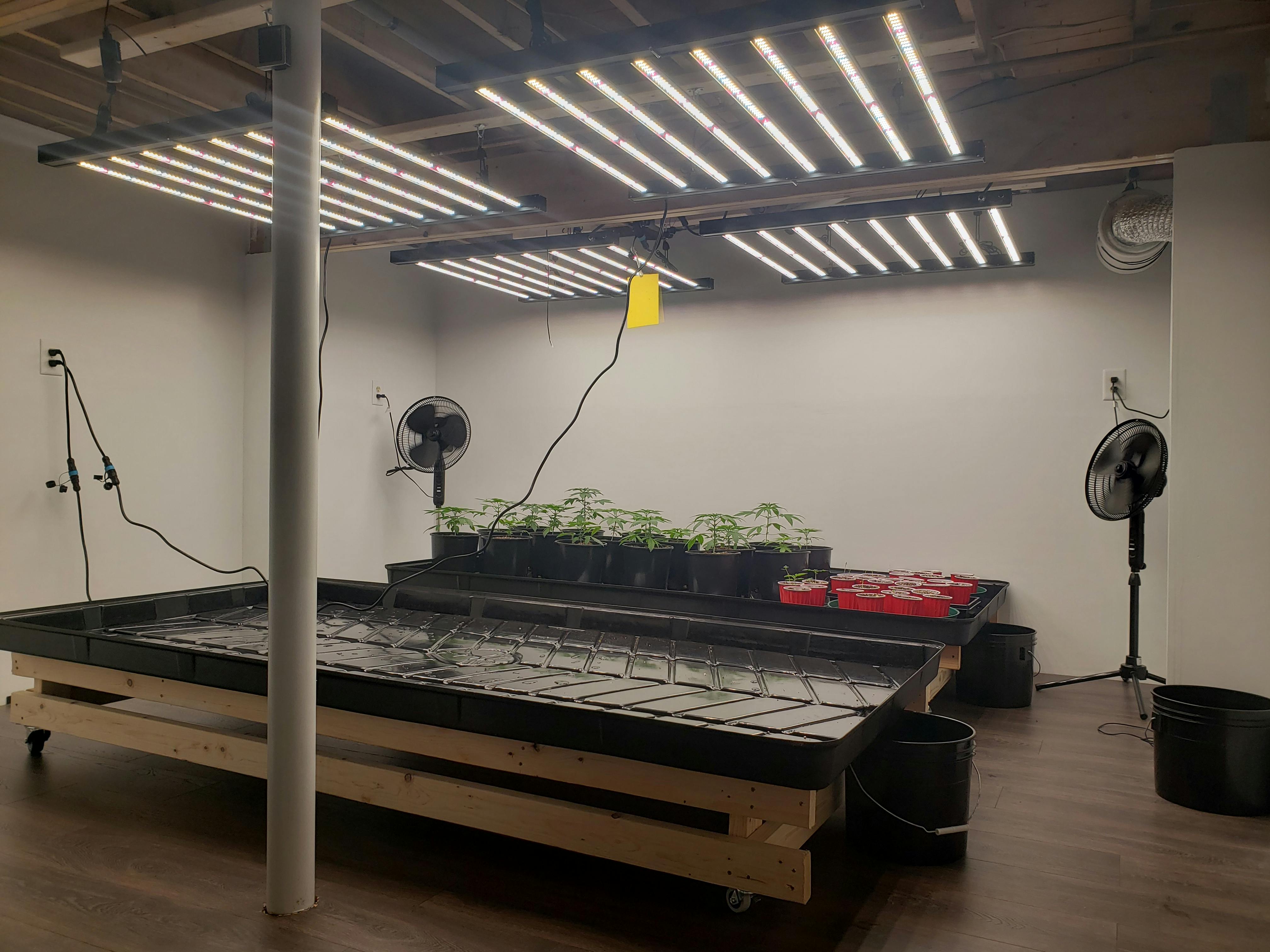 LED Grow Light Reviews LED Grow Lights Depot