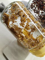  Legeldle Csíráztató Kezdőkészlet 2 üvegedénnyel és 18 féle maggal