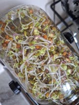 Legeldle Szendvics Mix Csíramagkeverék