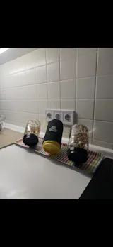 Legeldle Csíráztató Alapcsomag 2 Üvegedény és 2 Csíramag - választható