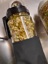 Legeldle Mungóbab Csíramag