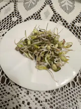 Legeldle Mungóbab Csíramag