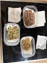 Legeldle Csíráztató Alapcsomag 4 Üvegedény és 4 Ajándék Csíramag - választható