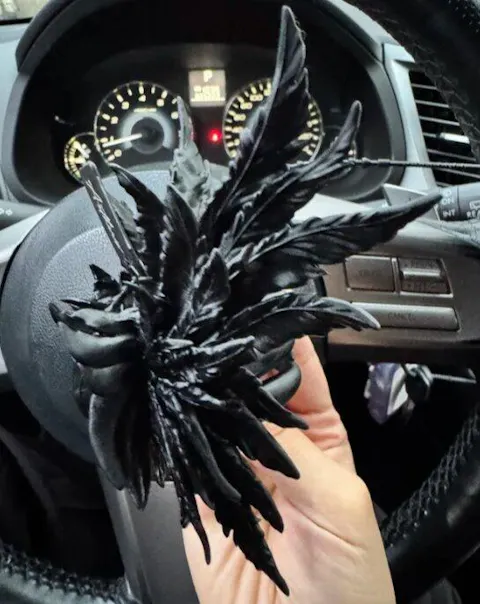 Matte Black Wing Hair Claw Clip
