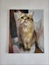 Custom Pet Photo DIY Painting Hand-Colored Gift