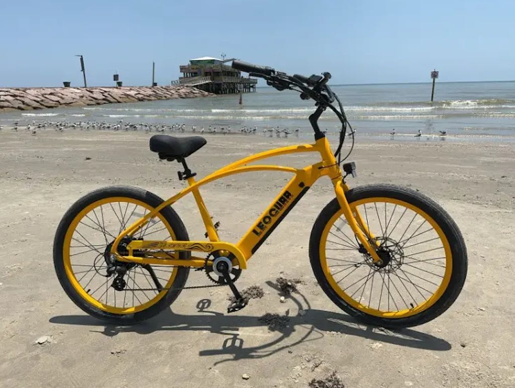 Zephyr SO Beach Cruiser Ebike