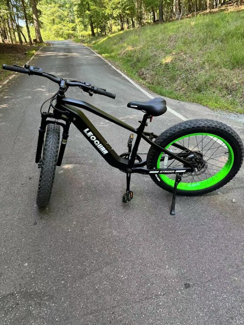Fastron SO Fat Tire Ebike