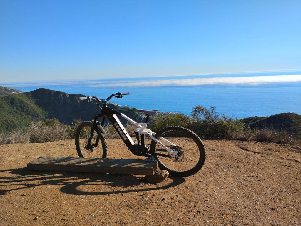 Trailblazer Mid-drive Motor EMTB