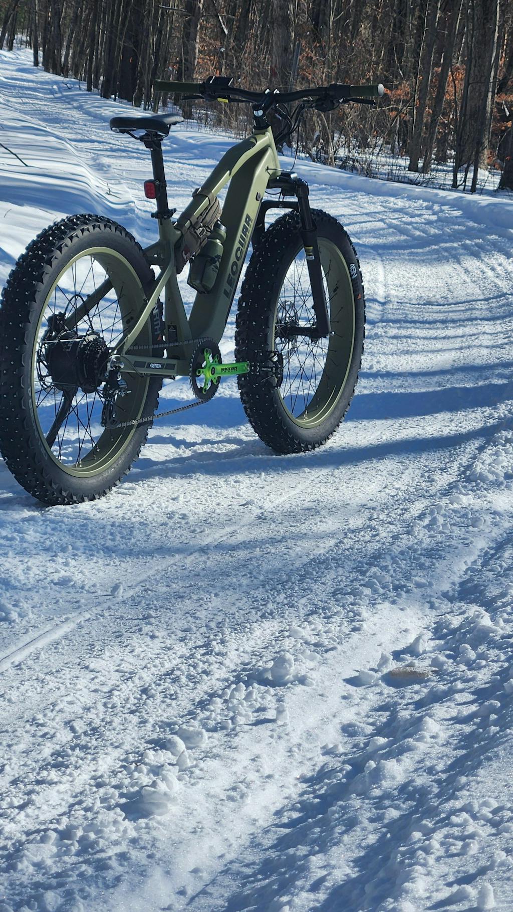 Fastron SO Fat Tire Ebike