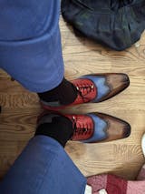 Wingtip Brogue Oxford - Multicolor