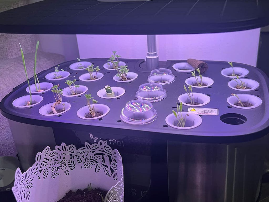 LetPot™｜Smart Garden LPH-Max 4-in-1 Automated Hydroponic Growing System ...