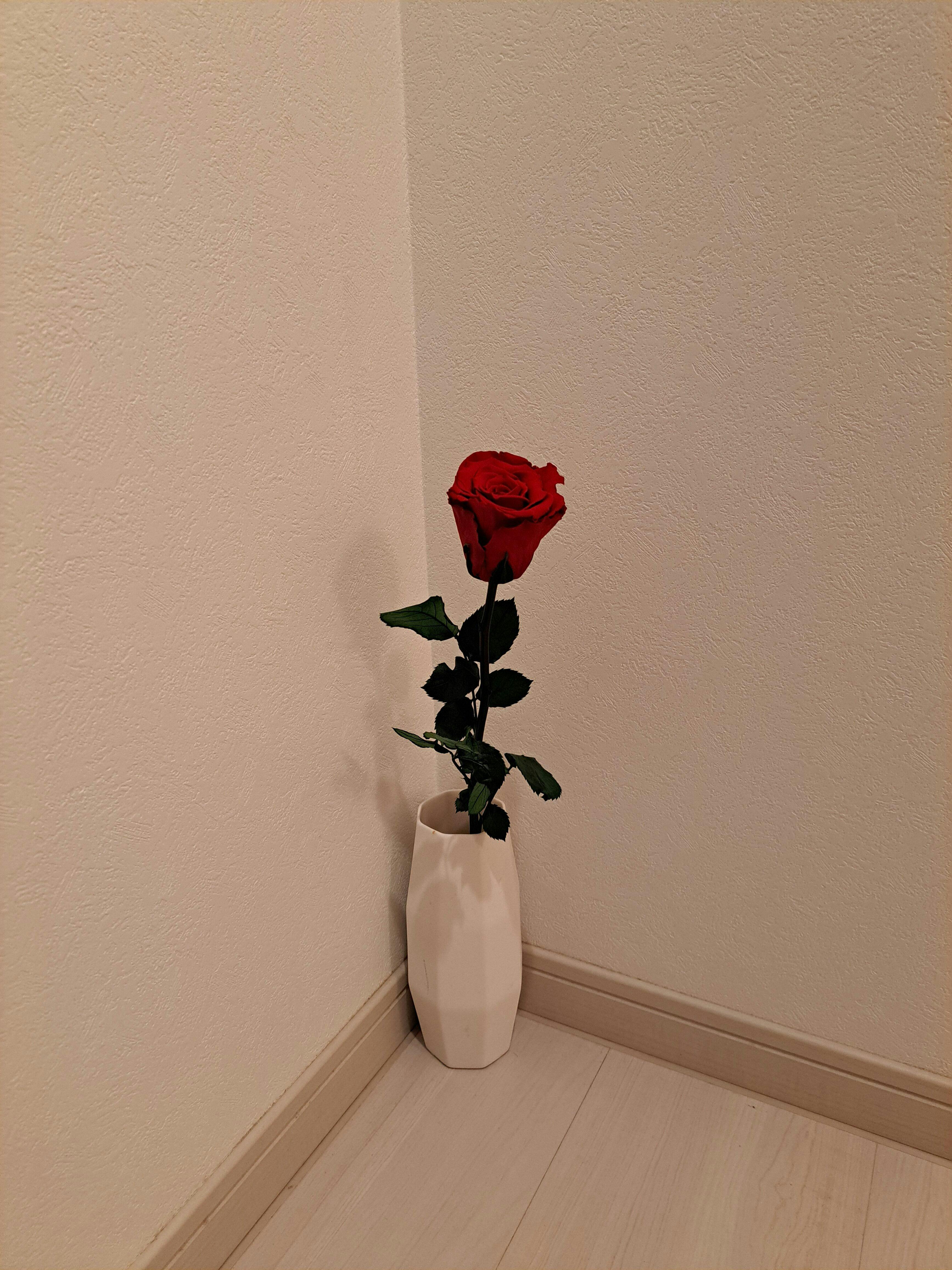 One Rose | 一輪のプリザーブドフラワー – Lettre rouge