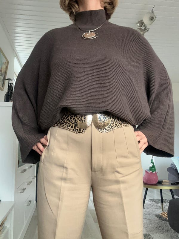 Strickpullover 2510147