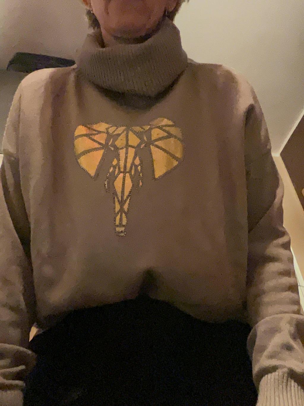 Feinstrickpullover 2511287