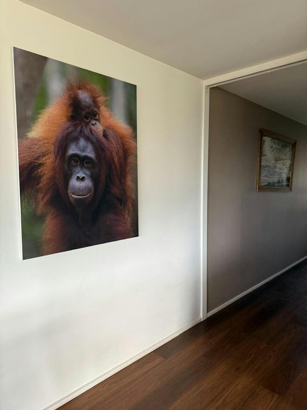 Liam Lynch Photography