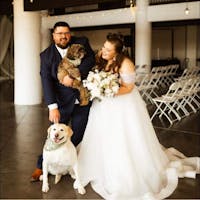 Wedding - Dog of Honor Bandana