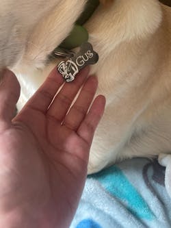 Custom Engraved Dog/Cat Tags - Stainless Steel, Personalized Pet ID, Perfect Gift for Fishing Enthusiast Pet Lovers - Stylish & Durable