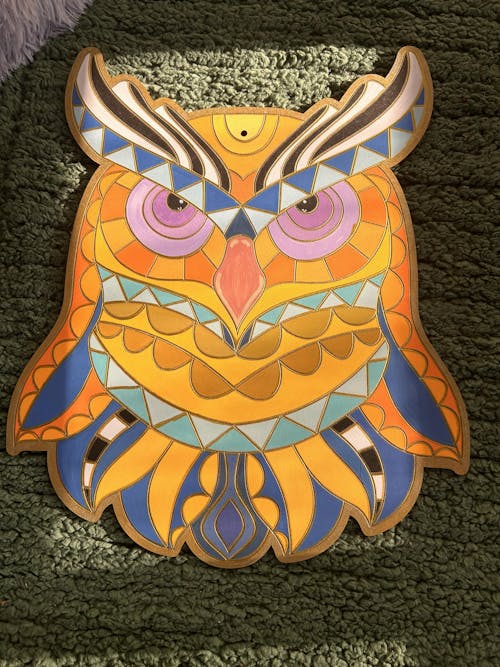 Life of Colour Owl Painting Kit