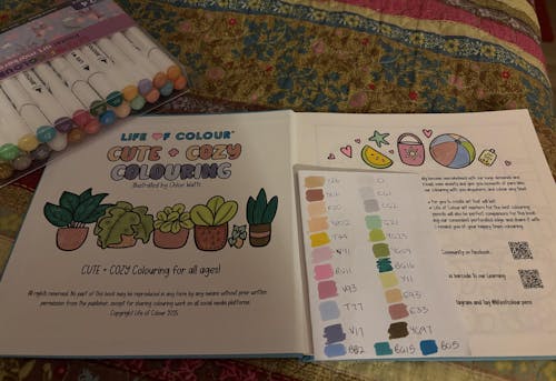 Art Markers - 24 Alcohol Based, Dual Tip Markers  - Pastel Colours