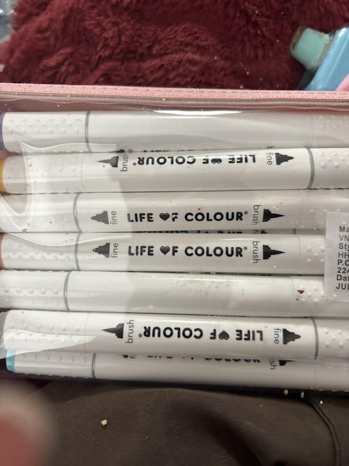 Art Markers - 24 Alcohol Based, Dual Tip Markers  - Pastel Colours