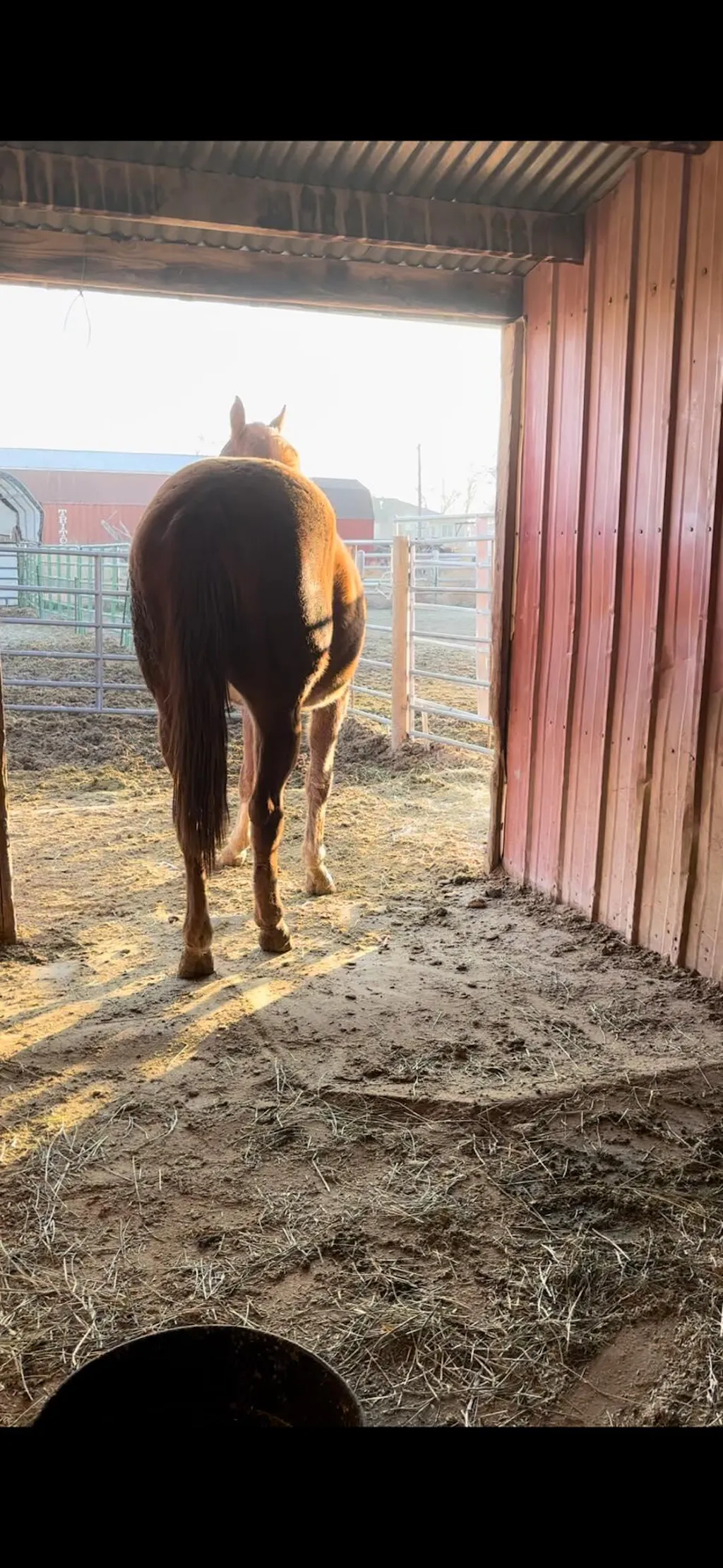 Lighthoof Equine Mud Management Panel