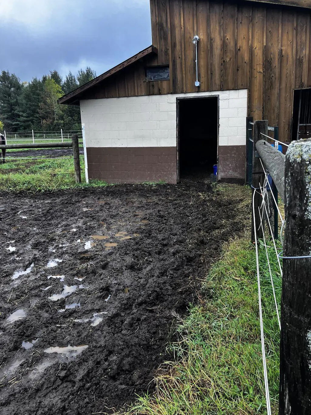 Lighthoof Equine Mud Management Panel