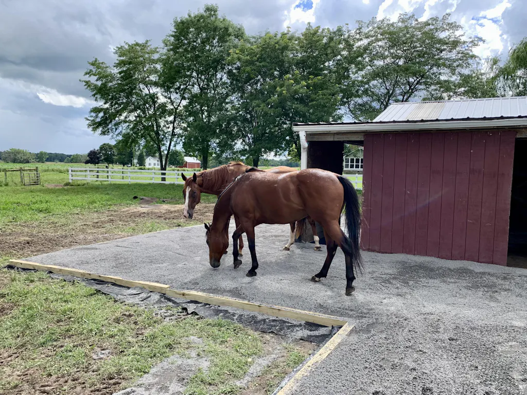 Lighthoof Equine Mud Management Panel