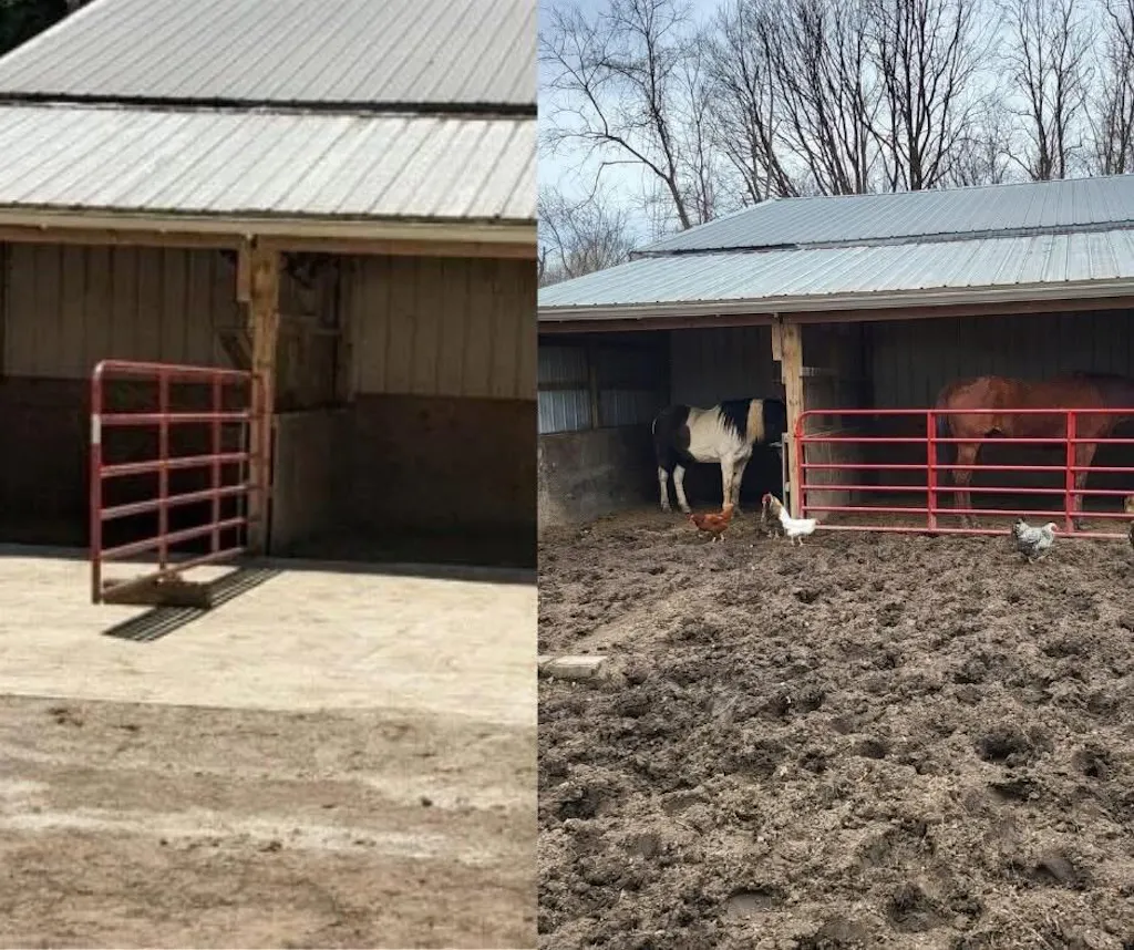 Lighthoof Equine Mud Management Panel